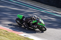 Advanced Group Green Bikes